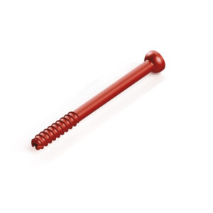 2.5 Headed screw, 10mm